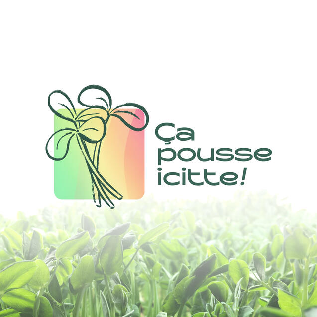 Ça pousse icitte Ça pousse icitte