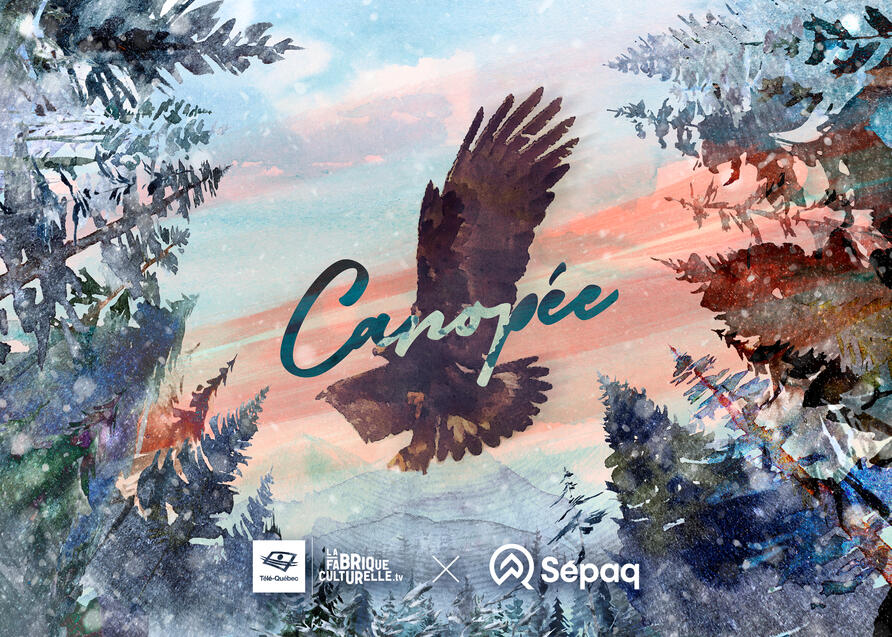 Canopée - Télé-Québec Canopée - Télé-Québec